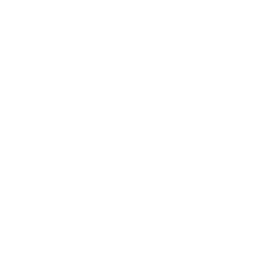 Raízes Vicentinas